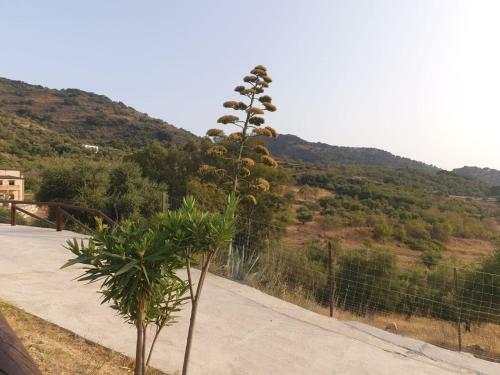 Encantadora Casa de Pueblo Para 8 Pax Con Gran Terraza