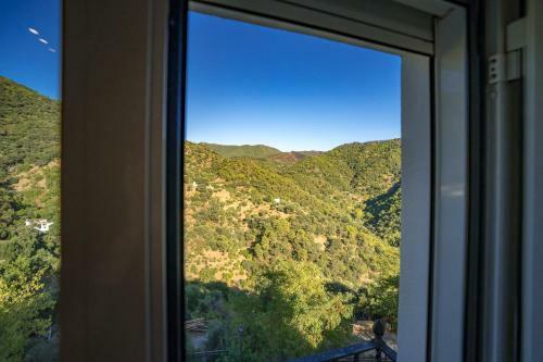 Apartamento Calle Cruz