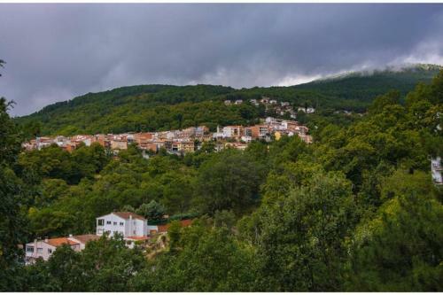 Gredosrentals - Apartamento Adrada