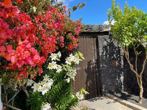 Apartamento Las Casitas Rusticas