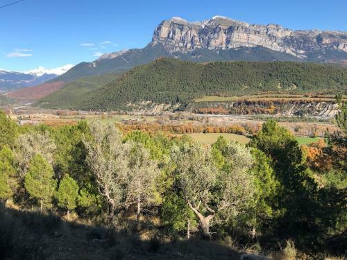 Apartamentos Turismo Rural Casa Alf�s