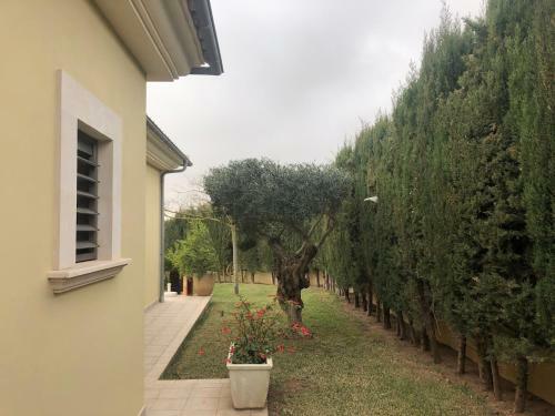 Bellviure Luxury Villa