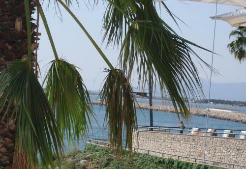 Villa Preciosa Casa A 200 Mts De La Playa