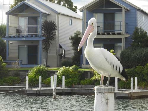 Captains Cove Waterfront Apartments