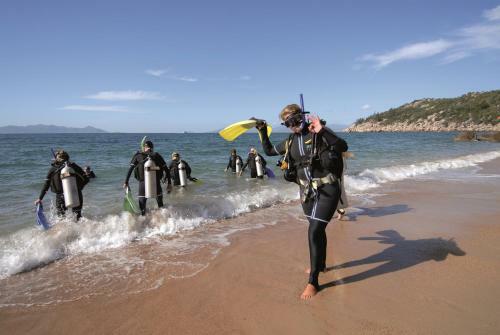 Albergue Base Backpackers Magnetic Island