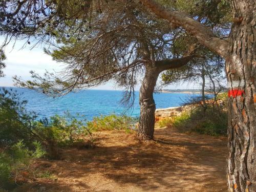 Agroturismo Finca Llambrich