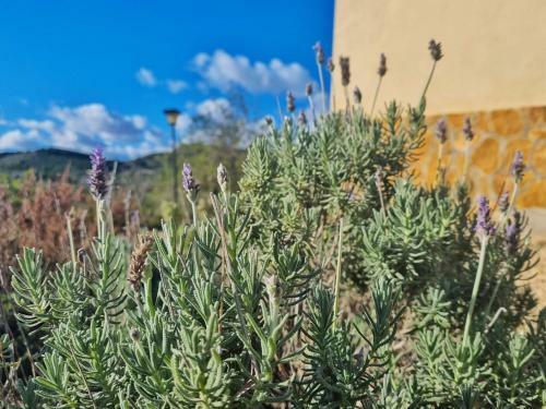 Agroturismo Finca Llambrich