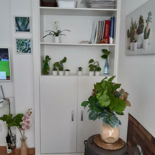 Apartamento Avda San Juan Bosco 21 �tico A