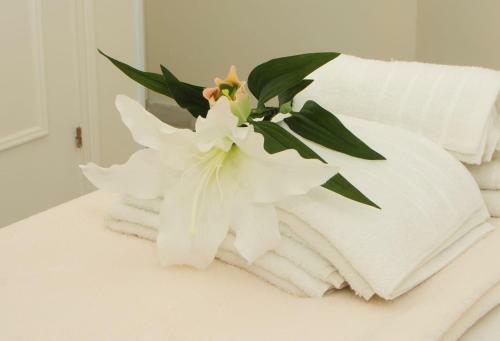 Apartamento 2 Dormitorios Muy Centrico