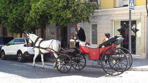 Apartamento Sherryflat Paralejo 10 - Parking