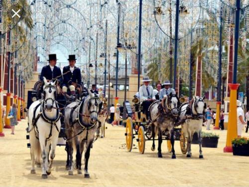 Apartamento Jerez 2018