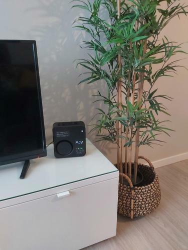 Apartamento Jerez 2018