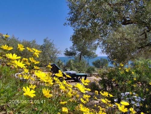 Villa La Marinada