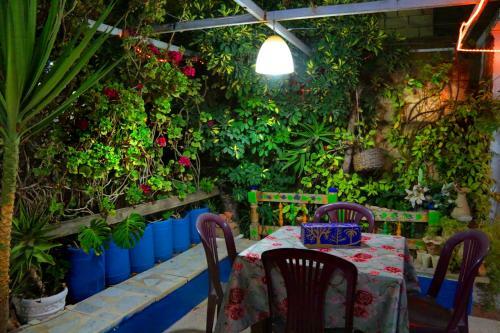 Albergue The Blue House "gerasa"