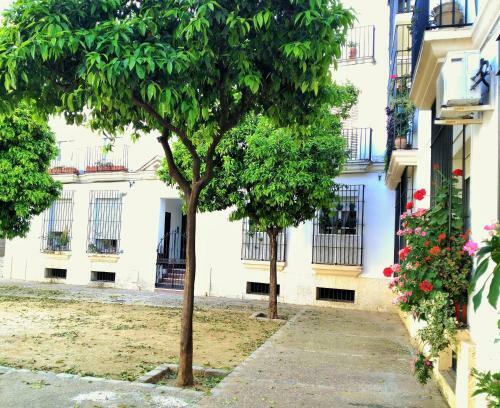 Apartamento Plaza Compa�ia Jerez