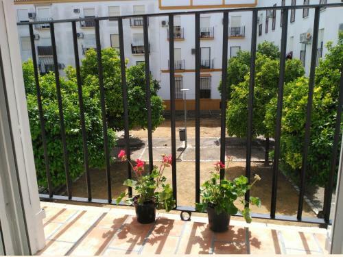 Apartamento Plaza Compa�ia Jerez