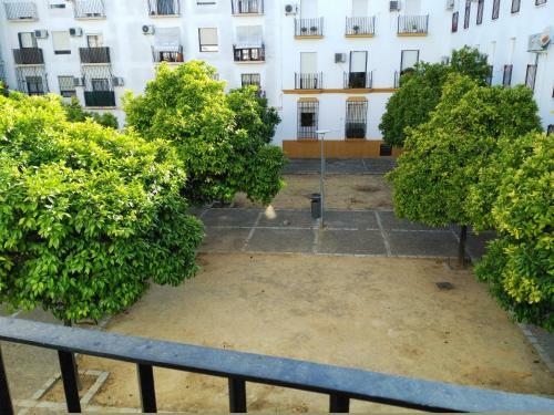 Apartamento Plaza Compa�ia Jerez