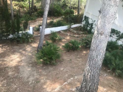 Villa Cala Blanca