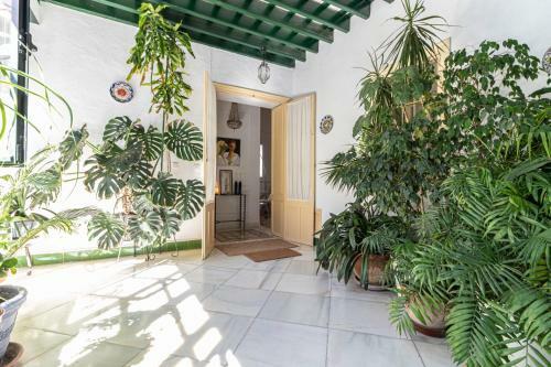 Apartamento Casa Palacio "moma"