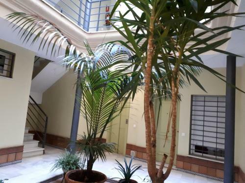 Apartamento Calle Armas,9