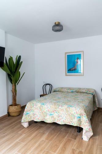 Apartamentos El Alcazar De Jerez