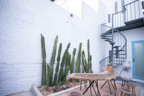 ?n Homestay M?i N�