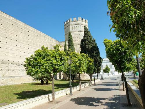 Apartamento Sherryflat Estudio- Parking,