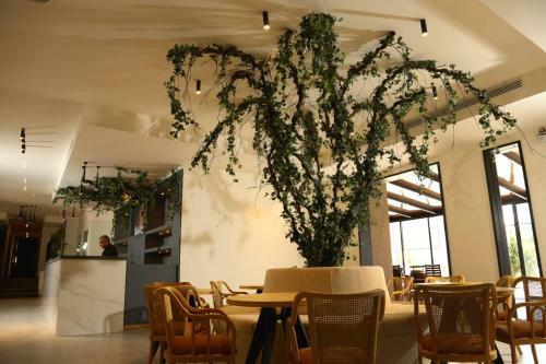 Aitch Boutique Hotel - An Lih Hotel