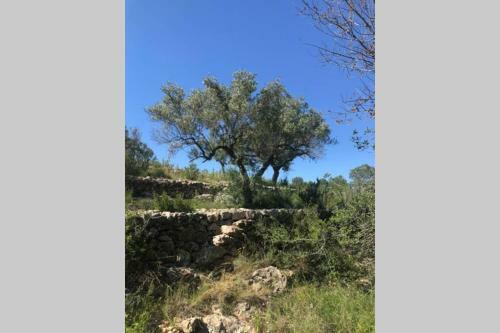 Villa Casa En Olivera A 3 Km De La Costa