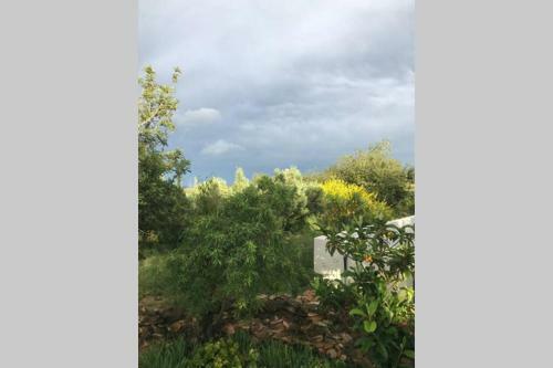 Villa Casa En Olivera A 3 Km De La Costa