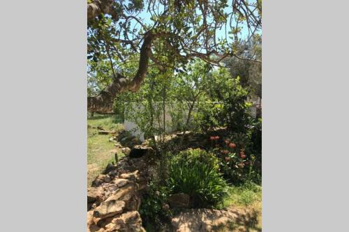 Villa Casa En Olivera A 3 Km De La Costa