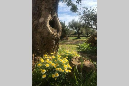 Villa Casa En Olivera A 3 Km De La Costa