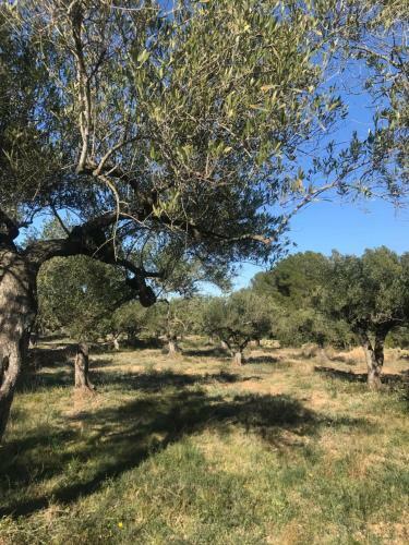 Villa Casa En Olivera A 3 Km De La Costa