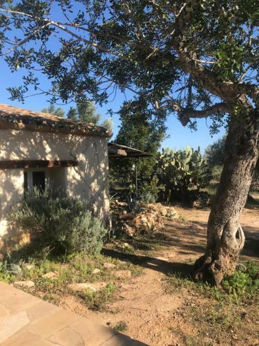 Villa Casa En Olivera A 3 Km De La Costa