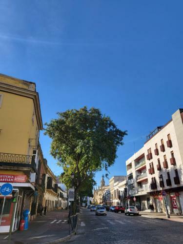 Apartamento Twins' Home Ponce, Jerez Centro, Wifi