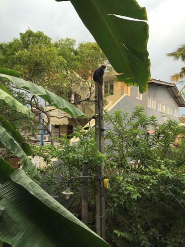 Hostal Fort Heaven - Galle Fort