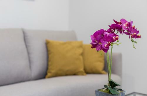 Apartamento Corredera Centro Design Luminoso