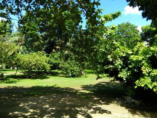 Hotel Ging View Villa