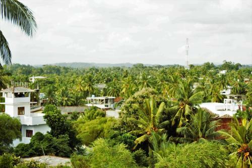 Bed & Breakfast Sky White Villa