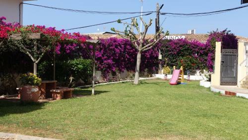 Apartamento La Playa Arenal Javea