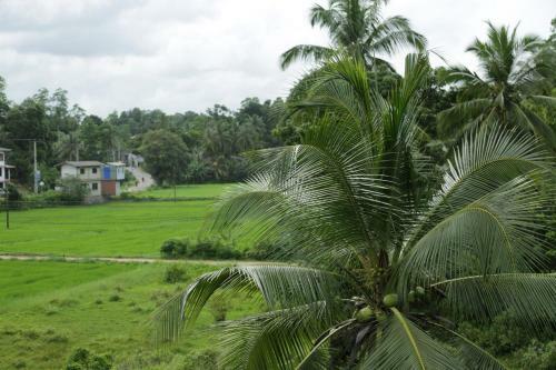 Hotel The Halcyon Galle