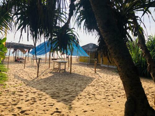 Hikkaduwa Backyard Beach Homestay