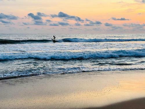 Hikkaduwa Backyard Beach Homestay