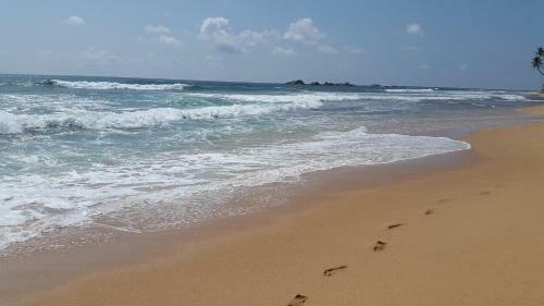 Hikkaduwa Backyard Beach Homestay