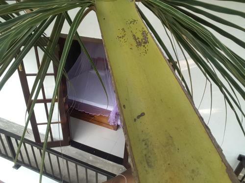 Agroturismo Coco Rooms