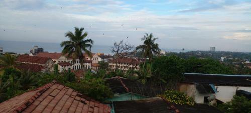 Galle City Nest