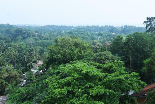 Apartment At Richmond Hill Residencies