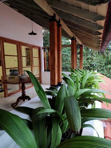 Bed & Breakfast Baheda House