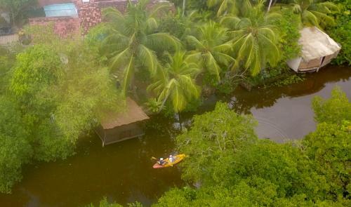 Bed & Breakfast Royal Mangroves Villa