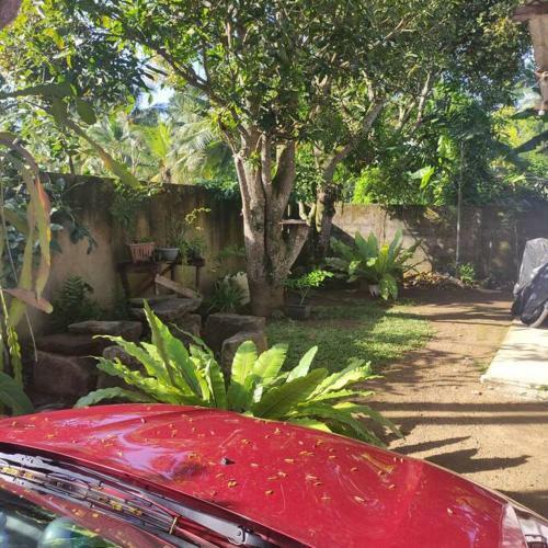 Apartamento Mango House